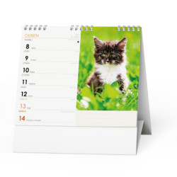 Stolní kalendář 2024 IDEÁL - Kočky /s kočičími jmény