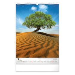 Nástěnný kalendář 2024 Stromy