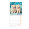 Nástěnný poznámkový kalendář 2024 Koťata 