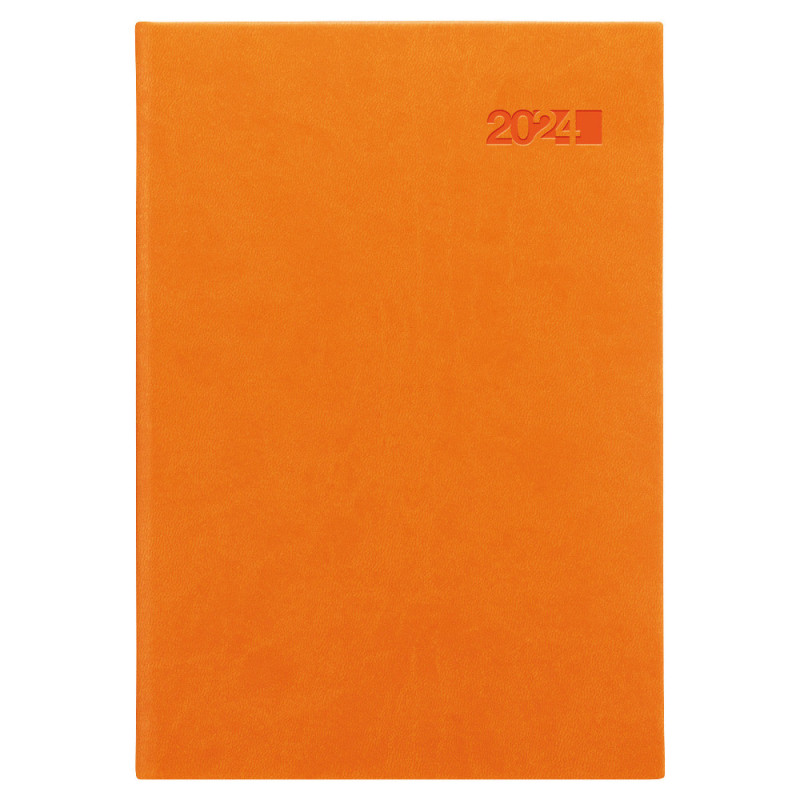 Denní diář 2024 Viva A5 - oranžová
