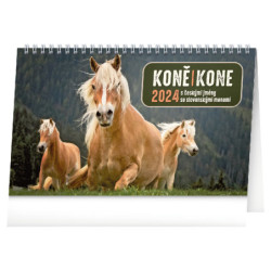Stolní kalendář 2024 Koně - Kone CZ/SK 